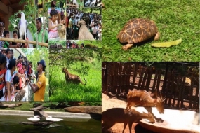 Pinnawela Open Air Zoo to have more animals once completed