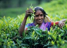 Govt. fulfills a pledge given to tea smallholders