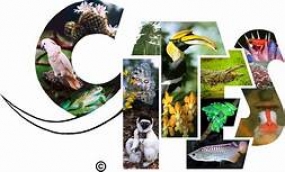 2019World Wildlife Convention host in Sri Lanka