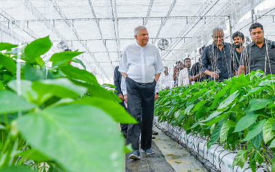 The government fully supports private entrepreneurs committed to advancing modern agriculture through cutting-edge technology