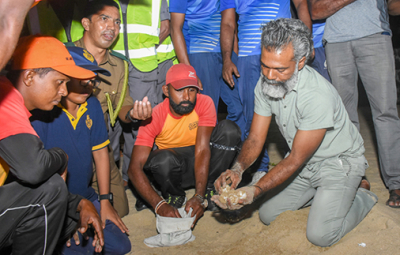 Awareness programme in Galle Face aims to boost turtle hatchling success