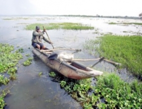 Each district given Rs. 5 million to remove invasive aquatic plants