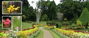 Peradeniya Botanical Gardens earn Rs.156 million in 1st Quater