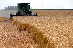 Brazil Registers Record Crop of Grains in 2014