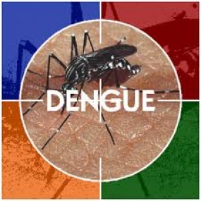 Dengue is on the rise in Colombo city