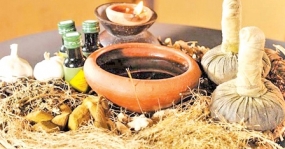 Conference on traditional medicine starts next Thursday
