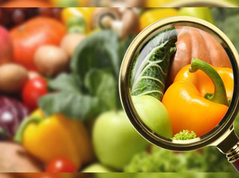 Cabinet Approves President’s Food Security Committee Proposal to Ensure Affordable, Quality Nutrition for All Citizens