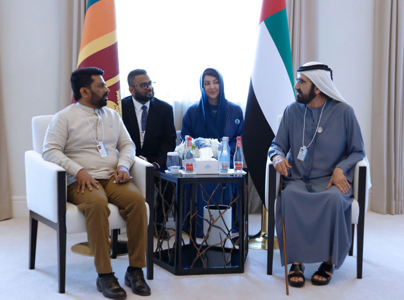 President Meets United Arab Emirates Leaders