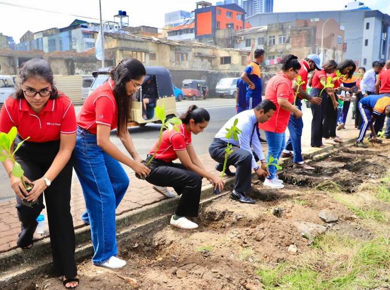 Marine Drive Tree Planting and Conservation Project in Conjunction with World Environment Day and “Clean Sri Lanka” Programme