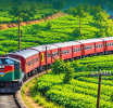 Train Services to Peradeniya and Gampola to Resume from October 2