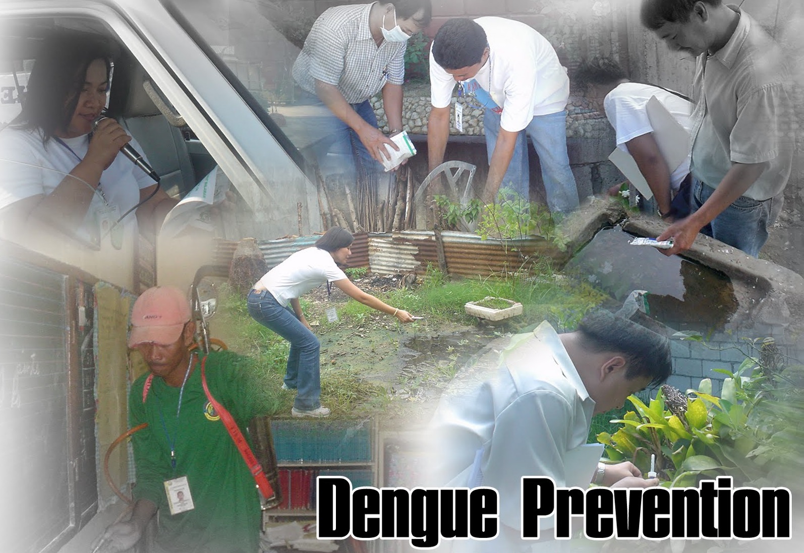 Dengue Prevention Month