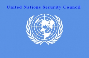 Five new countries join UNSC as non permanent members