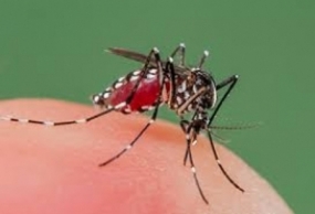 Decrease in the dengue prevalence over the island – NDPP