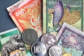 Sri Lanka&#039;s Exchange Rate Behaviour