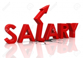 Govt. to implement a new salary structure for state sector