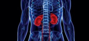 Dutch Risk Reduction team offers Sri Lanka services to prevent kidney disease