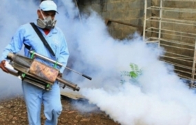 Steps to destroy dengue breeding grounds at government schools