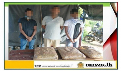 Navy assists apprehension of 14 suspects with over 39kg of Kerala cannabis