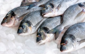 Growth of per capita fish consumption in Sri Lanka