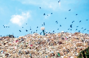 Short and long term plans to solve the Kolonnawa garbage issue