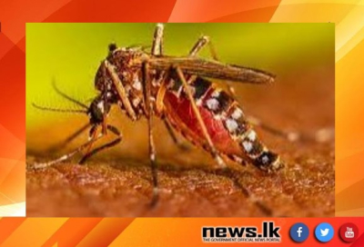 President instructs Provincial Chief Secretaries to take prompt action to control the spread of dengue