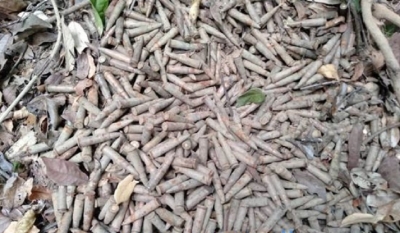 Haul of ammo recovered at Pudukudirippu area