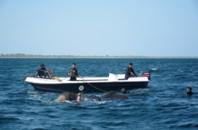 SL Navy rescues two more jumbos in the seas off Trincomlee