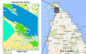 Elephant Pass to Resume Salt Production