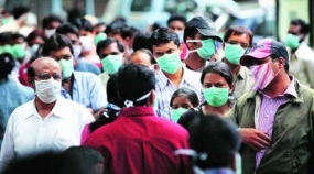 Swine flu toll rises to 774