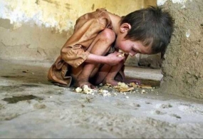 800 Million People are Hunger Victims in the World