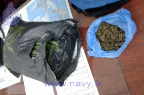 Navy arrests two transporting 2.7 kilograms of &#039;Kerala Ganja&#039;