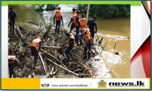 Navy clears woody debris collected under Dodangoda, Agaliya and Wakwella bridges