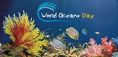 World Ocean Day 2015