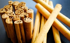 Sri Lanka&#039;s Cinnamon, the pride among world&#039;s spices