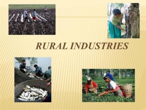 Rural Industries in the Kurunegala District to be developed