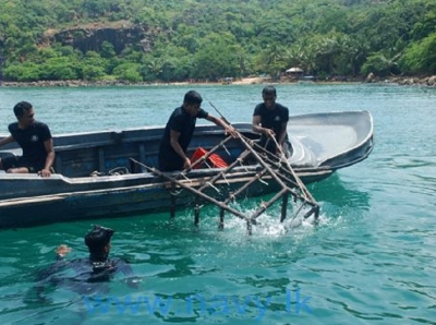 Navy assists to Coral replanting  at Southern coastal line