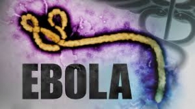 Cuba: International Meeting Against Ebola Begins