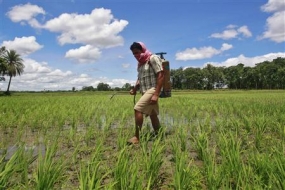 Sri Lanka bans use and sale of  five active pesticide ingredients