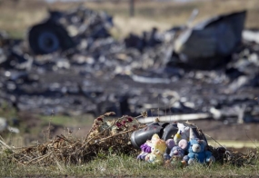 More human remains found in MH17 crash site