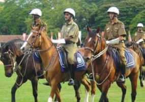 Police Mounted division gets 18 horses from Netherlands
