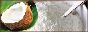 Sri Lanka&#039;s Desiccated Coconut exports records a 148% increase