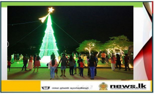 Army Illuminations & Decorations Turn Crowd - Puller