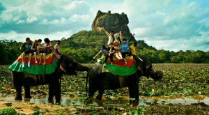 Sri Lanka Tourism to bounce back soon