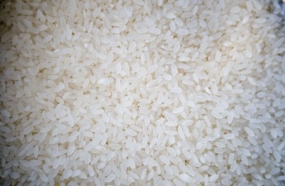 Four-man team leaves for Pakistan to pick rice varieties