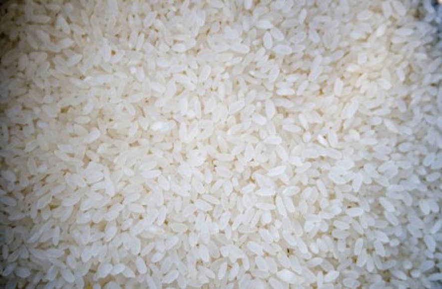 Four-man team leaves for Pakistan to pick rice varieties