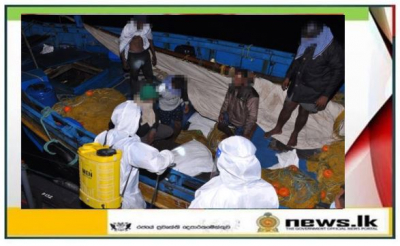 Navy seizes over 1372kg of dried turmeric attempted to be smuggled by sea