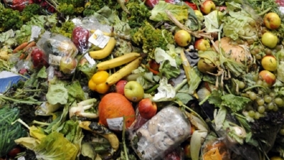 The wasteful fate of a third of food