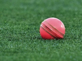 Australia v New Zealand: At first blush, pink ball passes Test