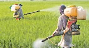 CABINET COMMITTEE OF EXPERTS TO STUDY GLYPHOSATE ISSUE