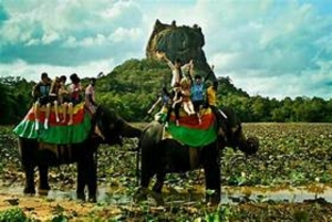 Sri Lankan Tourism braces for impact